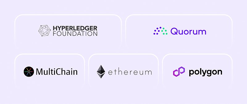 Most Popular Blockchain Protocols