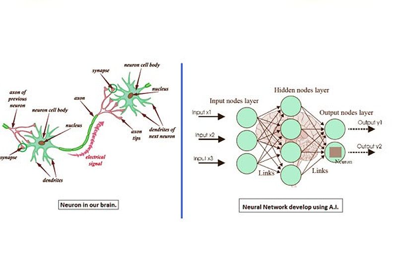 So sánh tế bào thần kinh trong não người với mạng Neural nhân tạo