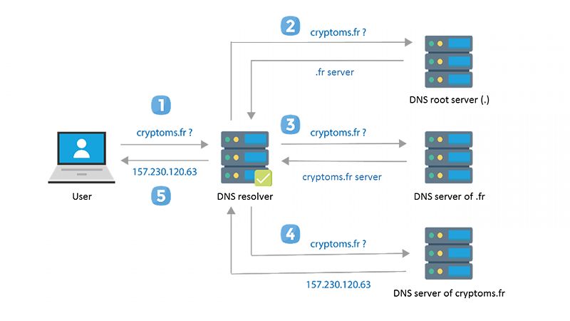 Toàn tập về Blockchain Naming Service (BNS) 12